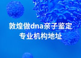 敦煌做dna亲子鉴定专业机构地址