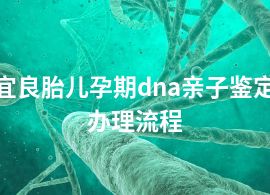 宜良胎儿孕期dna亲子鉴定办理流程