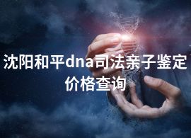 沈阳和平dna司法亲子鉴定价格查询