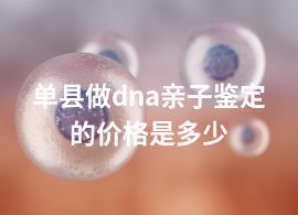 单县做dna亲子鉴定的价格是多少