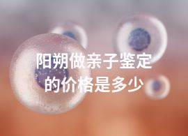 阳朔做亲子鉴定的价格是多少