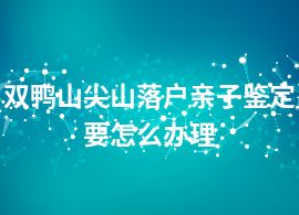 双鸭山尖山落户亲子鉴定要怎么办理