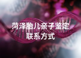 菏泽胎儿亲子鉴定联系方式