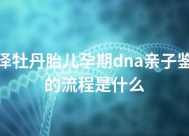 菏泽牡丹胎儿孕期dna亲子鉴定的流程是什么