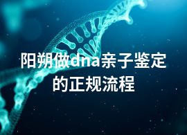 阳朔做dna亲子鉴定的正规流程