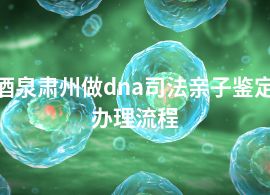 酒泉肃州做dna司法亲子鉴定办理流程