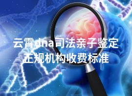 云霄dna司法亲子鉴定正规机构收费标准