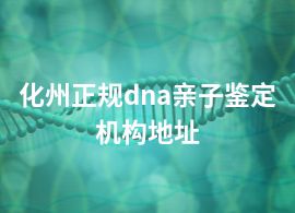 化州正规dna亲子鉴定机构地址