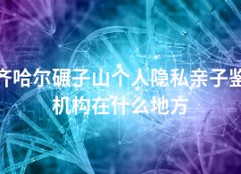 齐齐哈尔碾子山个人隐私亲子鉴定机构在什么地方