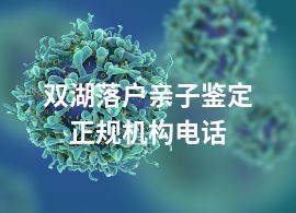 双湖落户亲子鉴定正规机构电话