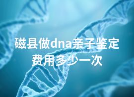 磁县做dna亲子鉴定费用多少一次