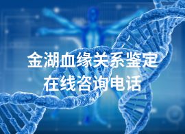 金湖血缘关系鉴定在线咨询电话