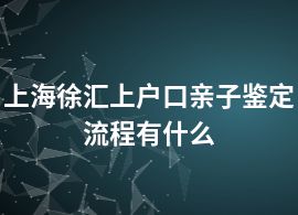 上海徐汇上户口亲子鉴定流程有什么