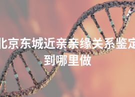 北京东城近亲亲缘关系鉴定到哪里做