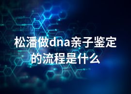 松潘做dna亲子鉴定的流程是什么