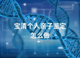 宝清个人亲子鉴定怎么做