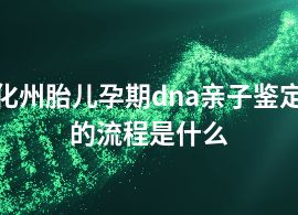 化州胎儿孕期dna亲子鉴定的流程是什么