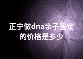 正宁做dna亲子鉴定的价格是多少