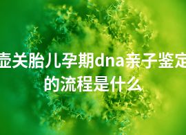 壶关胎儿孕期dna亲子鉴定的流程是什么