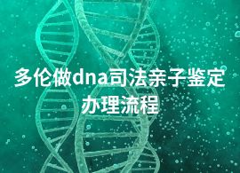 多伦做dna司法亲子鉴定办理流程