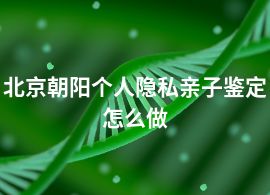 北京朝阳个人隐私亲子鉴定怎么做