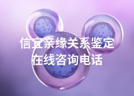 信宜亲缘关系鉴定在线咨询电话