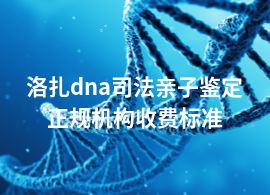 洛扎dna司法亲子鉴定正规机构收费标准