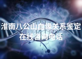 淮南八公山血缘关系鉴定在线咨询电话