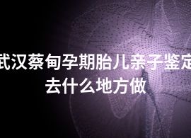 武汉蔡甸孕期胎儿亲子鉴定去什么地方做