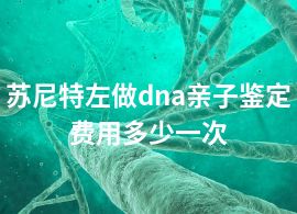 苏尼特左做dna亲子鉴定费用多少一次