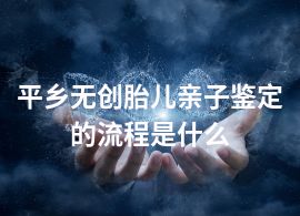 平乡无创胎儿亲子鉴定的流程是什么