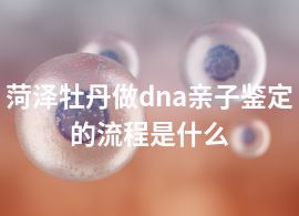 菏泽牡丹做dna亲子鉴定的流程是什么