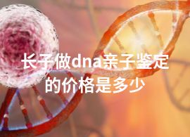 长子做dna亲子鉴定的价格是多少