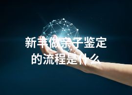 新丰做亲子鉴定的流程是什么