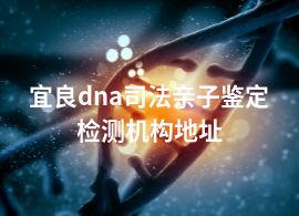 宜良dna司法亲子鉴定检测机构地址