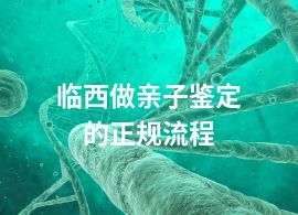 临西做亲子鉴定的正规流程