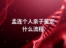 孟连个人亲子鉴定什么流程