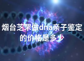 烟台芝罘做dna亲子鉴定的价格是多少