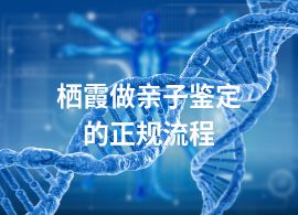 栖霞做亲子鉴定的正规流程