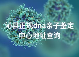 沁县正规dna亲子鉴定中心地址查询