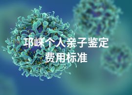 邛崃个人亲子鉴定费用标准