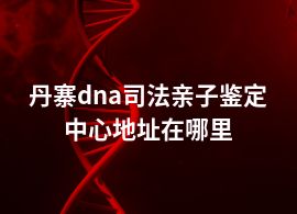 丹寨dna司法亲子鉴定中心地址在哪里