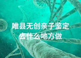 睢县无创亲子鉴定去什么地方做