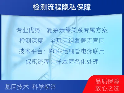 商洛洛南-叔侄亲缘关系鉴定-报告解读