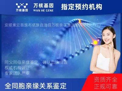 安顺市紫云苗族布依族自治县同父同母全同胞亲缘关系鉴定