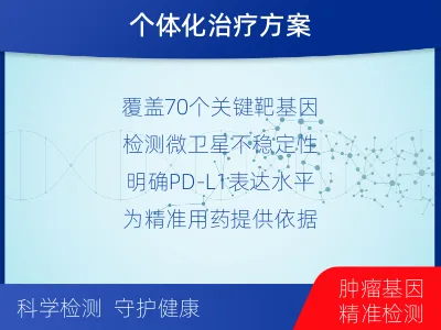 新宁-乳腺癌卵巢癌靶基因综合检测-检测流程