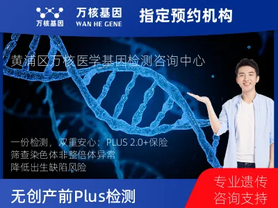 上海市黄浦区染色体非整倍体异常检测 PLUS 2.0项目 (已含保险）