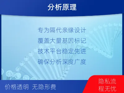 上海静安-祖孙亲缘关系鉴定-报告解读