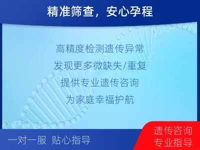 铜鼓-染色体微阵列分析-报告解读