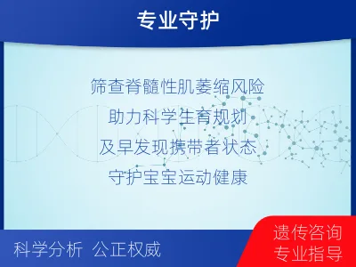 金牛-SMA基因检测-检测流程